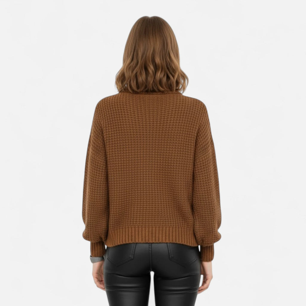 Brown wool-blend turtleneck chunky knit sweater, back view